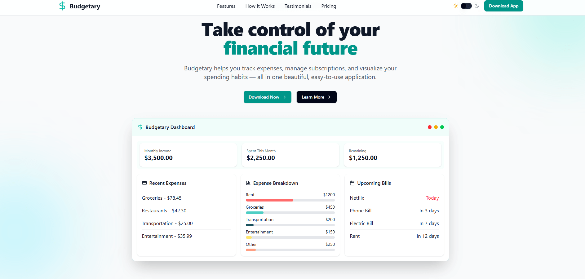 Budgeting Website launch